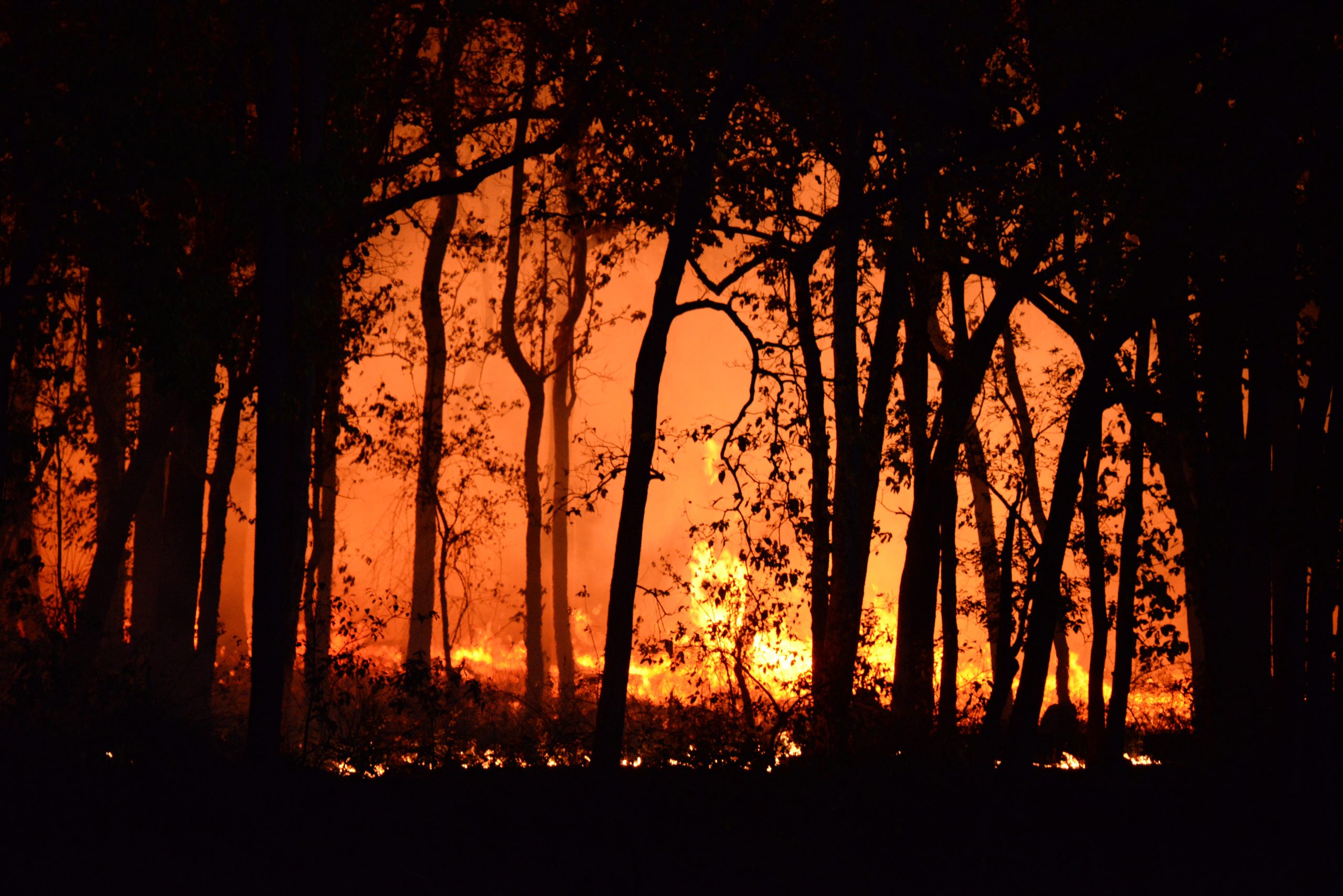 Preparing Your Home for Bushfire Season